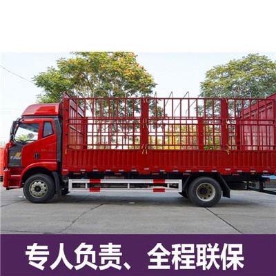 汕尾到宜賓江安縣貨運(yùn)公司