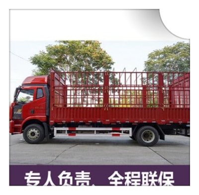 清遠(yuǎn)到昌都貨運公司