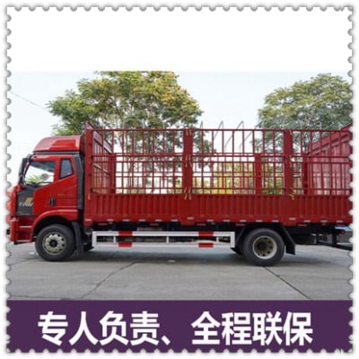 廣州到安慶貨運公司