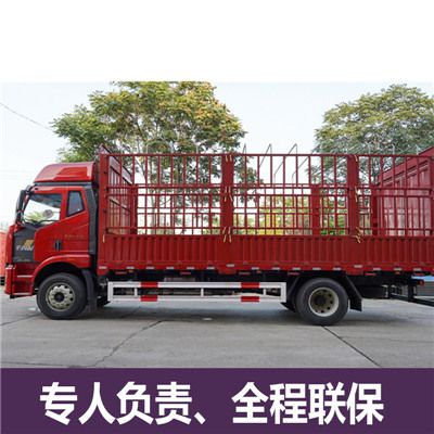 東莞到南平松溪縣物流貨運公司