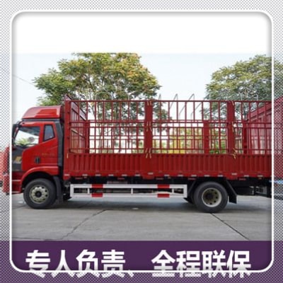 陽江到上海直達(dá)專線電話-陽江到上海直達(dá)專線電話-陽江到上海貨運(yùn)拉貨價(jià)錢2026
